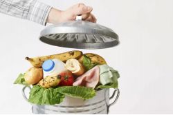 iStock gaspillage alimentaire_jpg BD