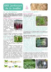 Lettre des éko-jardiniers de la Souffel du 15 juin 2020-page001