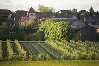 033-Neugartheim-Catherine Theulin BD